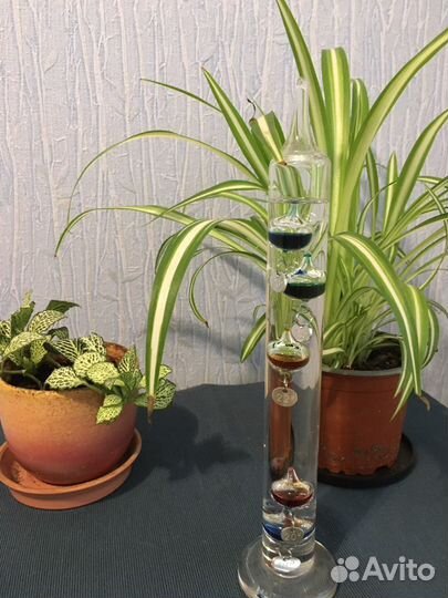 Жидкостный термометр / термометр Галилея