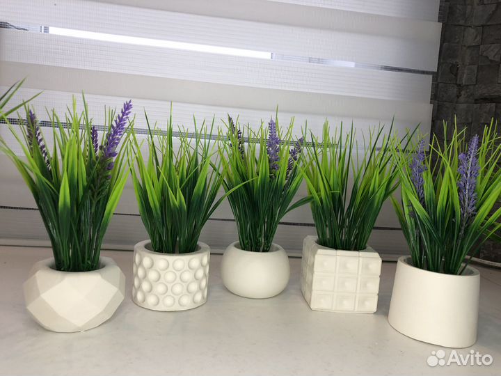 Осока искусственная, лаванда