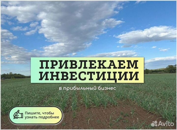 Пассивный доход от инвестиций