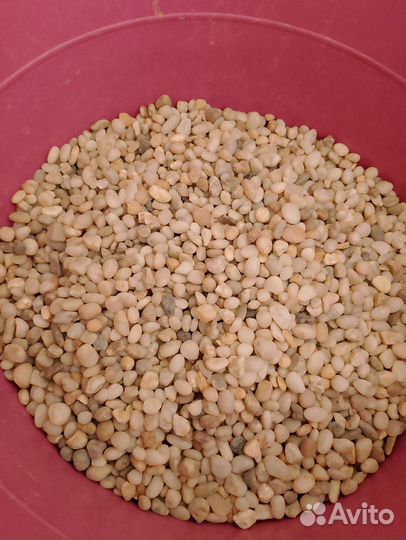 Грунт для аквариума