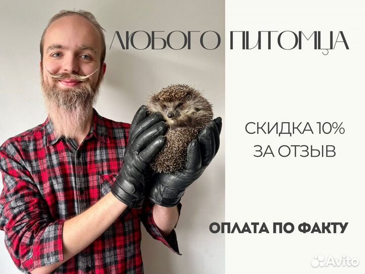 Квартирная передержка с любовью 24/7