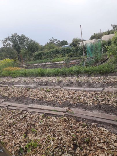 Участок 5 сот. (ИЖС)