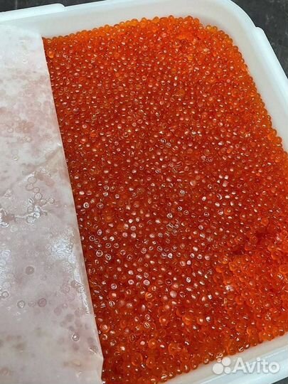 Икра красная нерки, улов июнь 2023 года