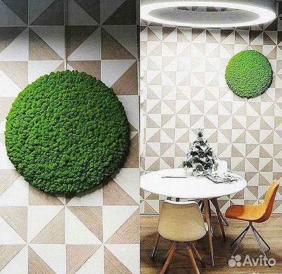 Стабилизированный мох