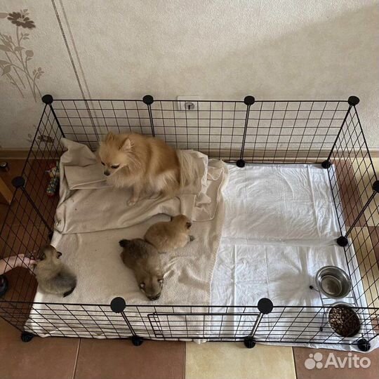 Вольер для домашних животных