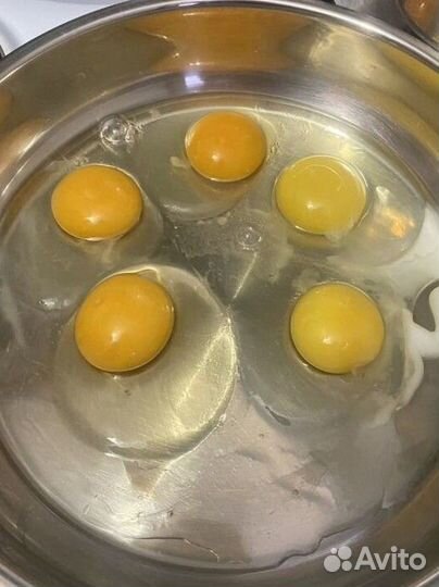 Яйца куриные деревенские домашние