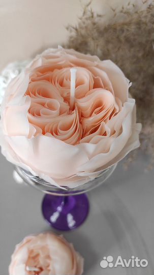 Обучение свеча пион