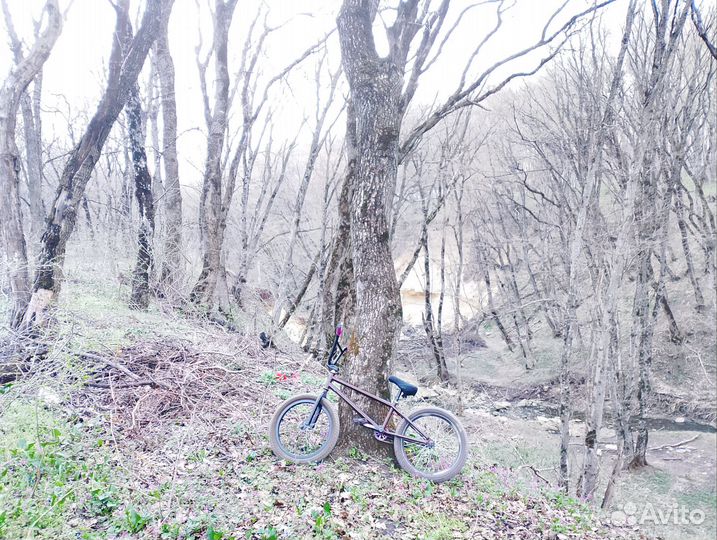 Трюковой велосипед бмх