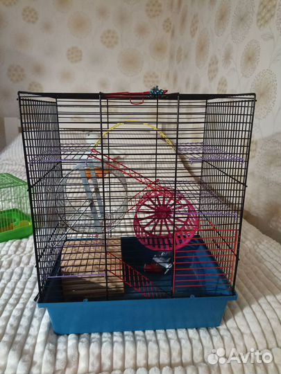 Клетка для сирийского хомяка