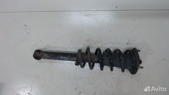 Амортизатор подвески Lexus LS400 UCF10, 1993