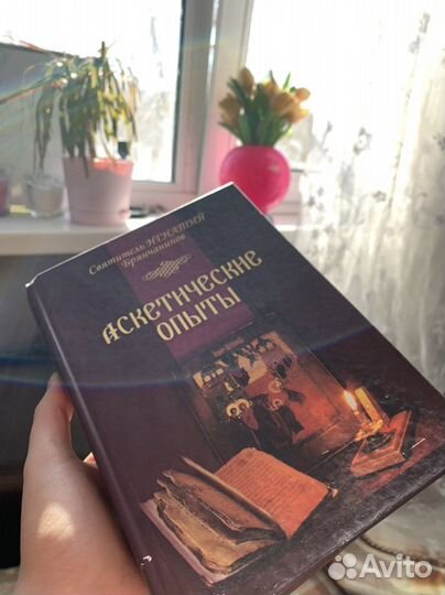 Аскетические опыты святитель Игнатий Брянчанинов