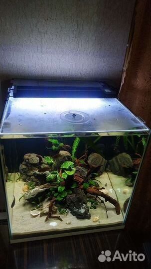 Аквариум на заказ. Под ключ