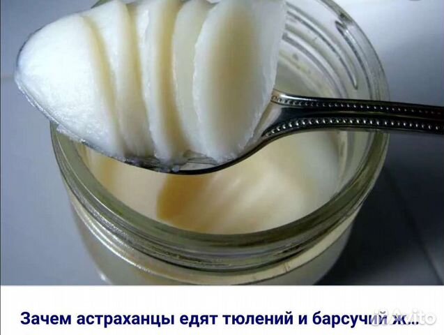 Барсучий жир