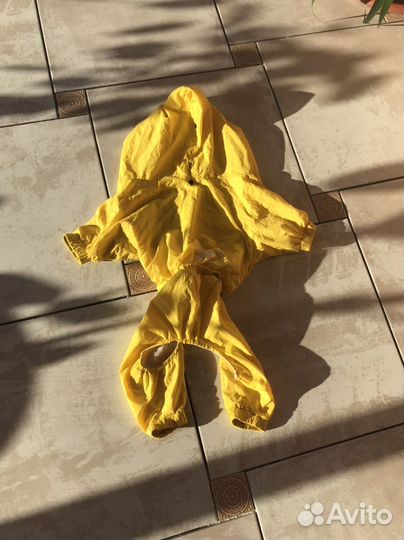 Одежда для собак