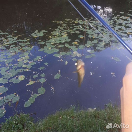 Удочка в сборе