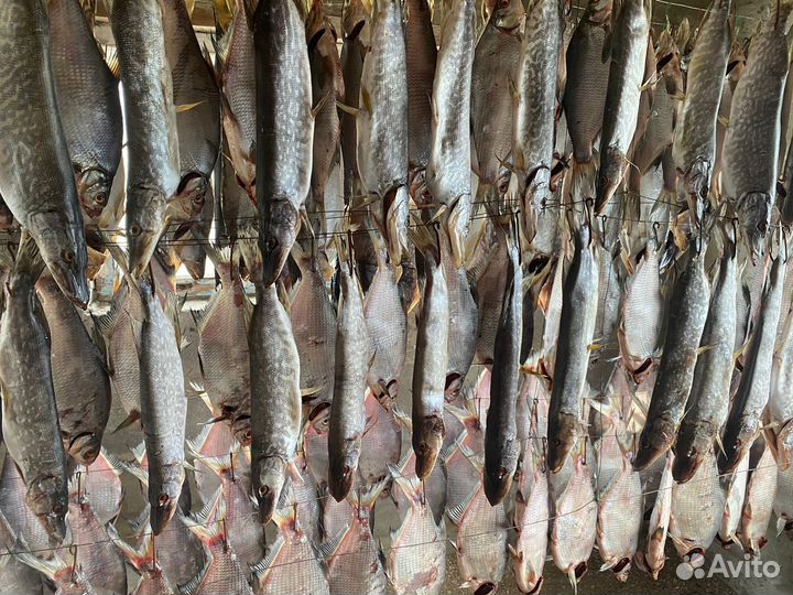 Лещ крупный икряной