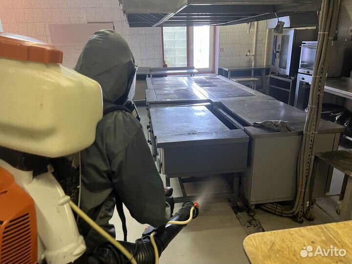 Уничтожение клопов, тараканов. Дезинфекция