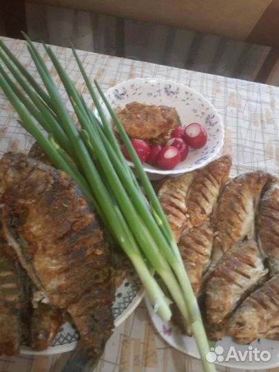 Рыбалка в Астрахани с. Селитренное