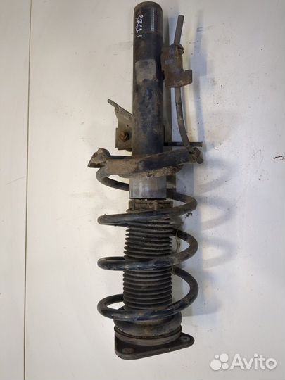 Амортизатор подвески Ford C-Max, 2005