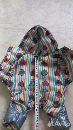 Одежда для маленьких собак