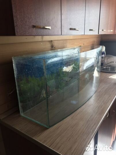 Аквариум 100 литров
