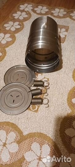 Ветчинница Белобока