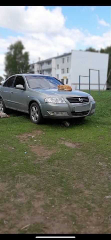 Nissan Almera Classic