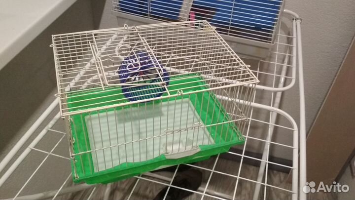 Клетки для джунгарских хомяков