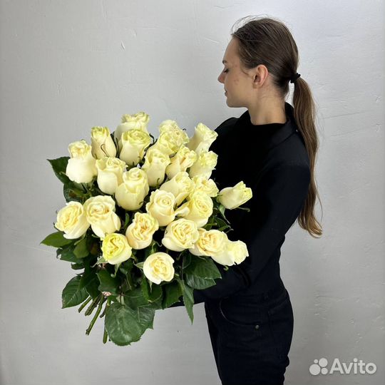 Розы сорта Мондиал