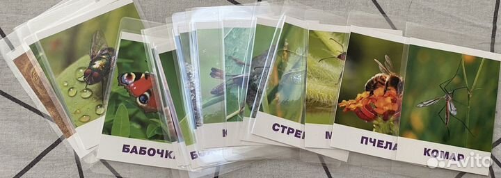 Логопедические/развивающие карточки