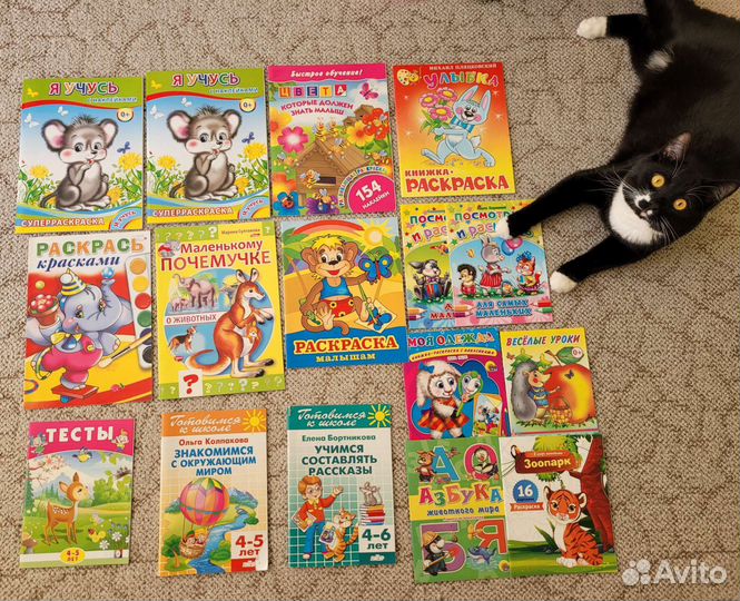 Раскраски и тесты для детей 4-5 лет пакетом
