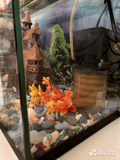 Аквариум (б/у) с фильтром,декором