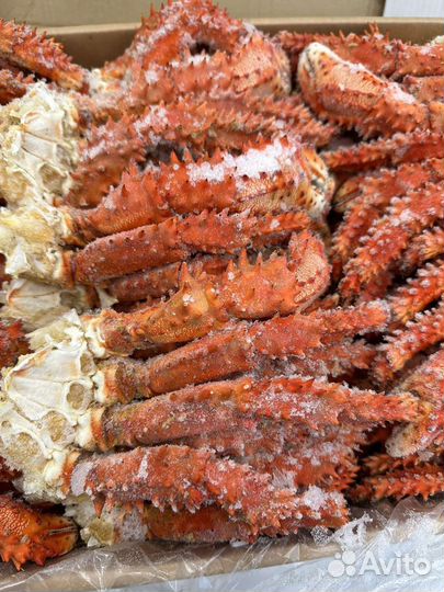 Краб колючий Камчатка