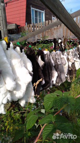 Натуральный мех