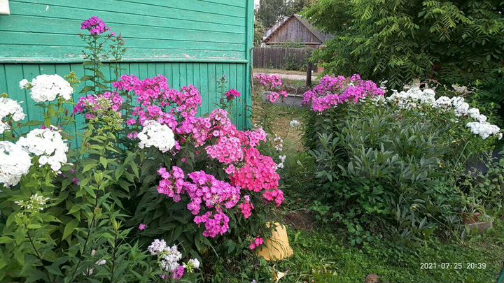 Дом 50 м² на участке 6 сот.