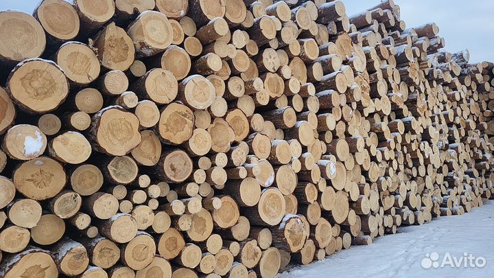 Лес кругляк лиственница