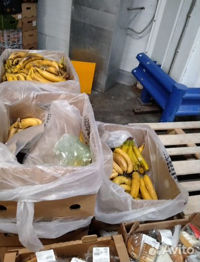 Продукты для животных