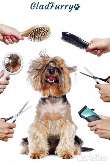 Груминг собак