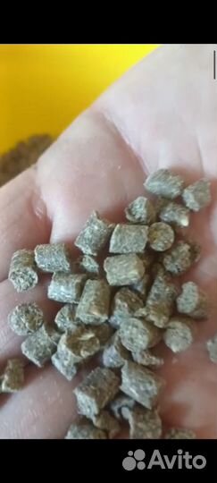 Корм для прудовой рыбы