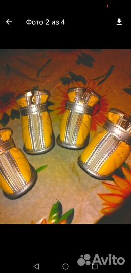 Носки, ботинки и игрушки для собак