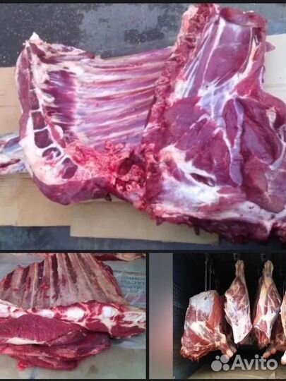 Мясо говядина оптом