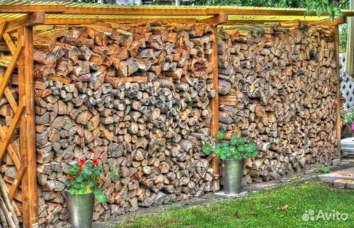 Дрова колотые с укладной в дровник