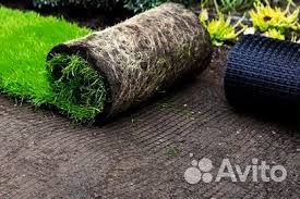 Сетка от крота