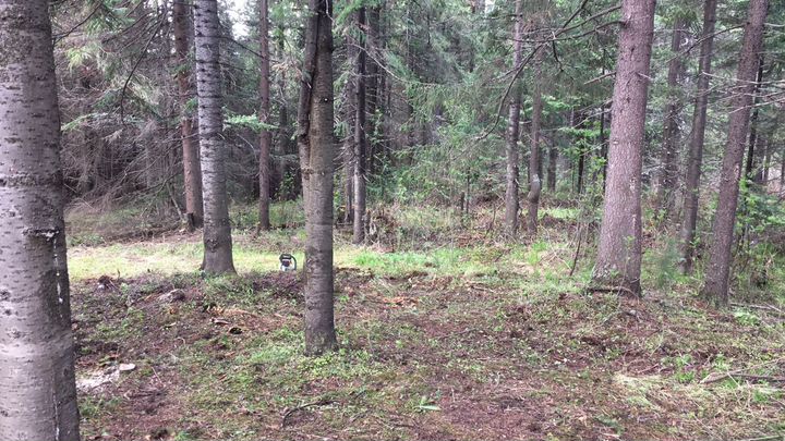 Участок 17,5 сот. (ИЖС)