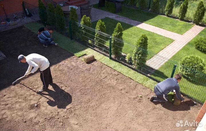 Рулонный газон. Укладка + Автополив