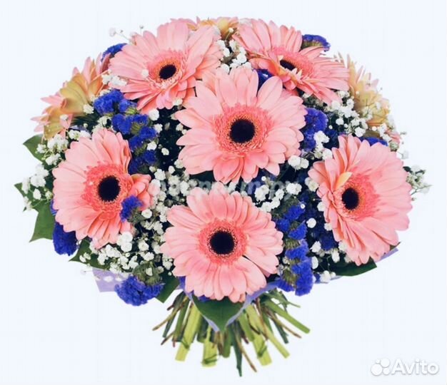 Герберы цветы букеты