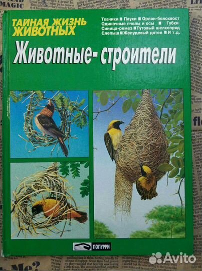 Книга для детей Животные-строители