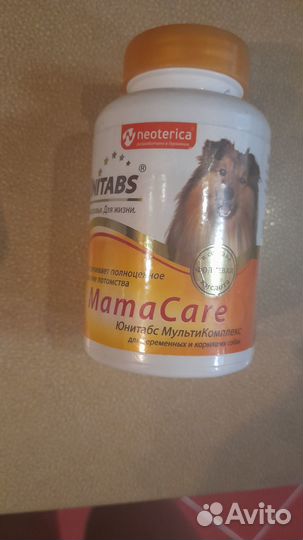 Витамины для беременных собак