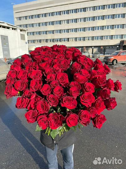 Эквадорские розы на дом