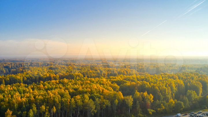 Квартира-студия, 20,7 м², 13/23 эт.